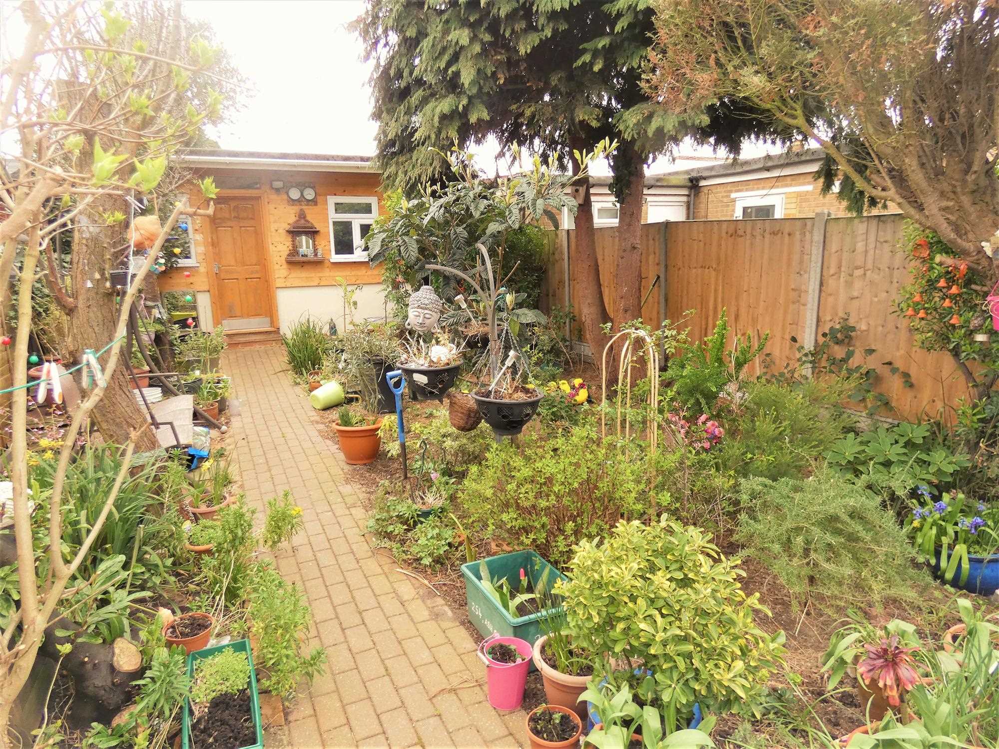Ash Grove - Picture 7