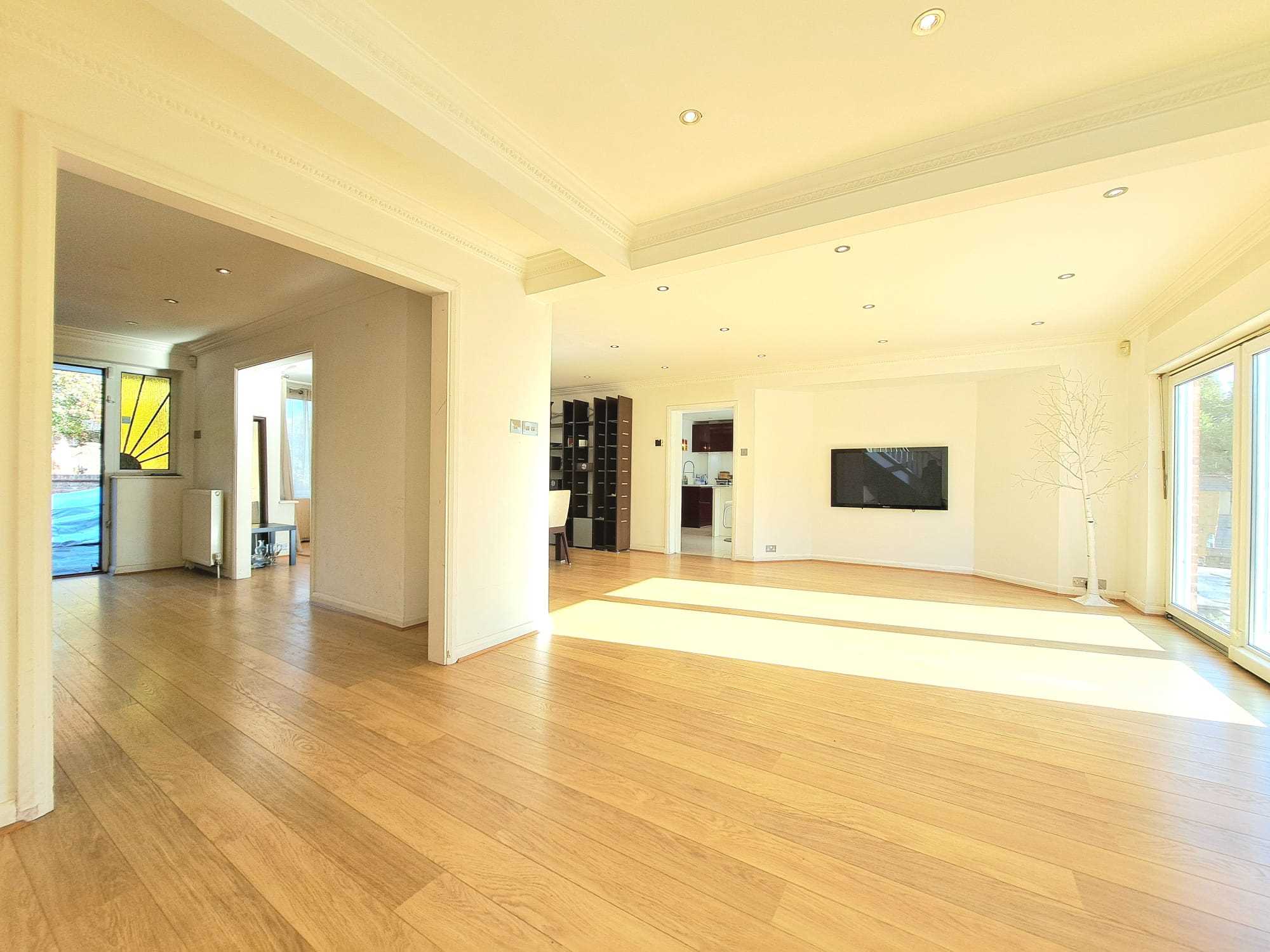 Green Lane - Picture 5